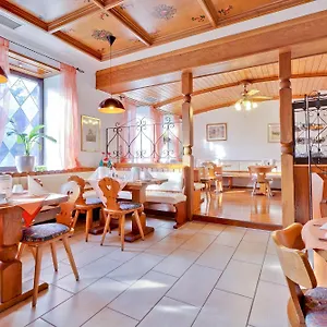 3* Отель Bavaria Muenchner Hof Superior